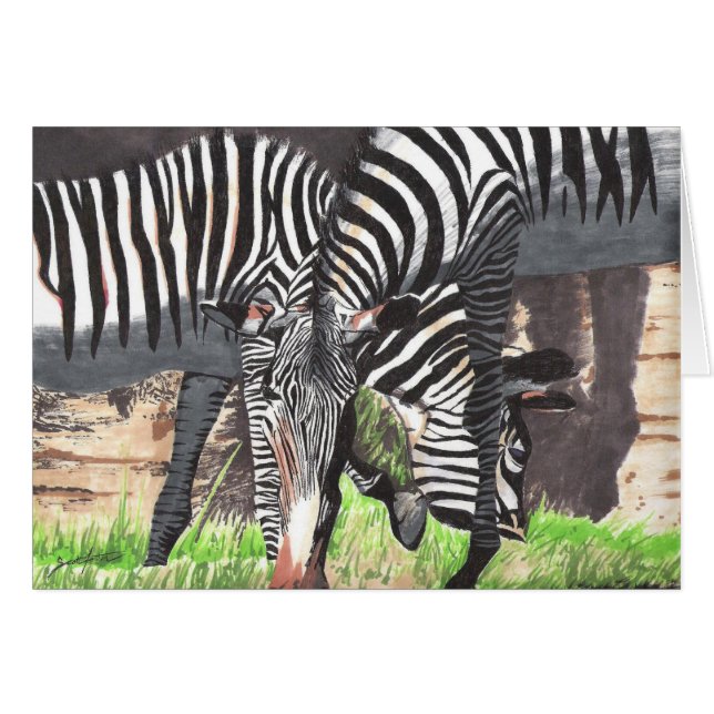 Zebras (Vorderseite (Horizontal))
