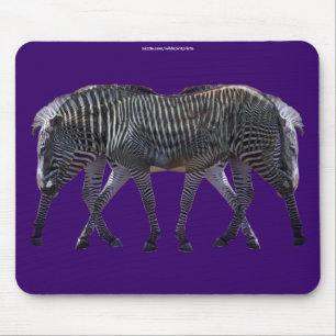 Zebras Afrikanisches Pferd Mousepad