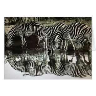 Zebras am Bewässerungs-Loch