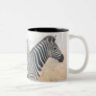 Zebras am frühen Morgen wischen, Kruger Zweifarbige Tasse