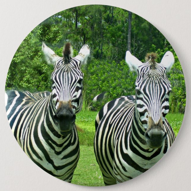Zebras auf der Wiese Moment Button (Vorderseite)