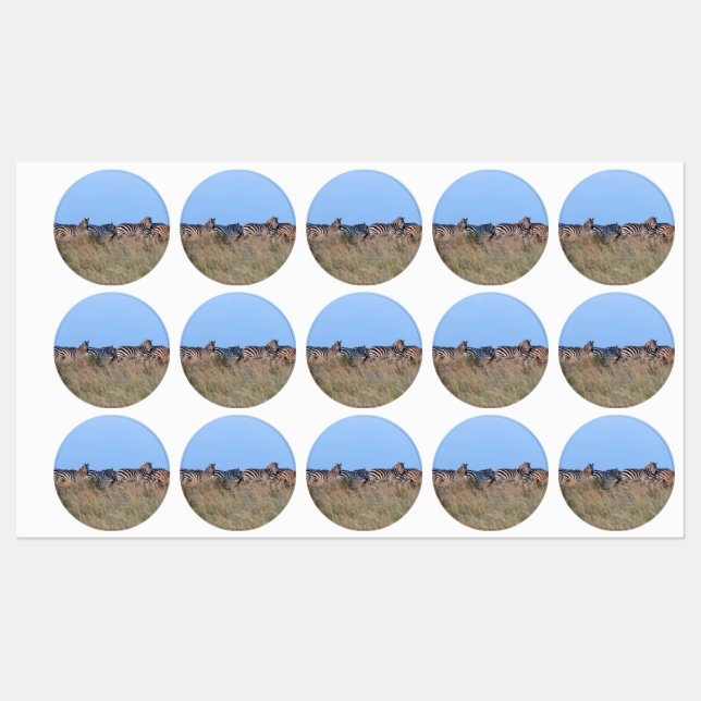 Zebras bei Dämmerung Etiketten (Blatt)