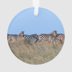 Zebras bei Dämmerung Ornament