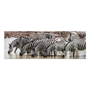 Zebras bei Waterhole Fotodruck