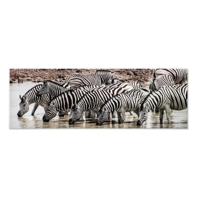 Zebras bei Waterhole Fotodruck (Vorne)