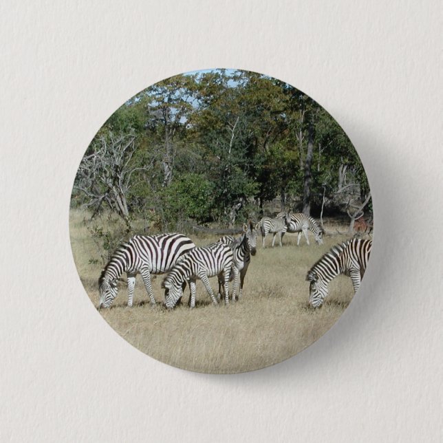 Zebras Button (Vorderseite)