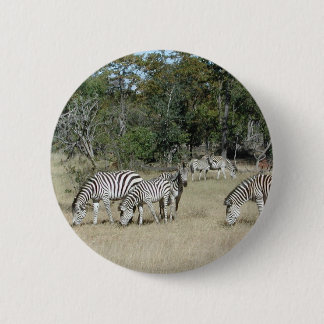 Zebras Button