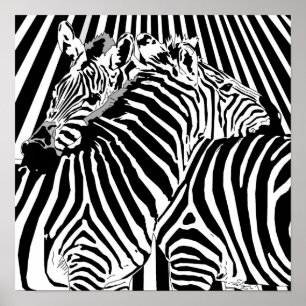 Zebras, die Plakat für binäres Prämiengeschäft