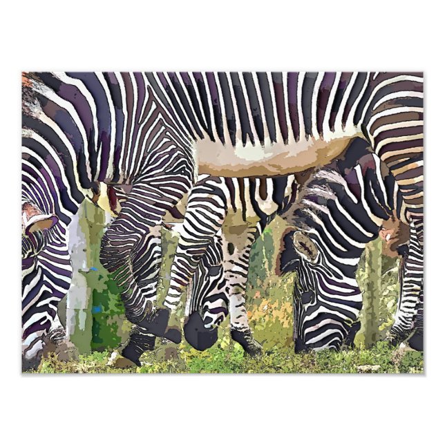 ZEBRAS FOTODRUCK (Vorne)