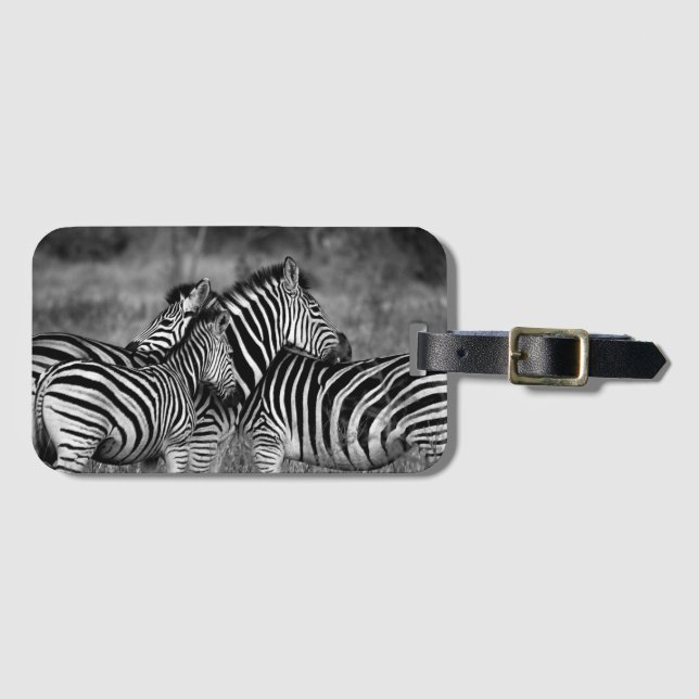 Zebras Gepäckanhänger (Vorderseite (Horizontal))