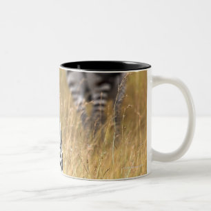 Zebras im hohen Gras Zweifarbige Tasse
