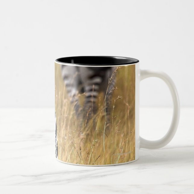 Zebras im hohen Gras Zweifarbige Tasse (Rechts)