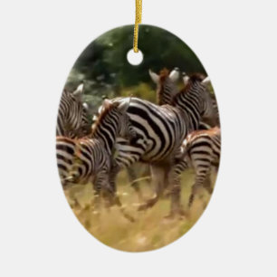 Zebras in Bewegung: Eine Reise über tausend Meilen Keramik Ornament