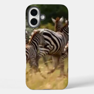 Zebras in Bewegung: Eine Reise von tausend Meilen iPhone 16 Plus Hülle