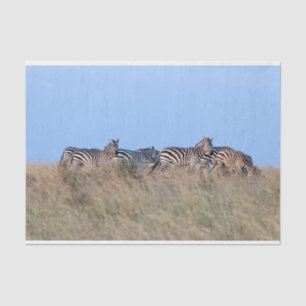 Zebras in der Dämmerung Seidenpapier