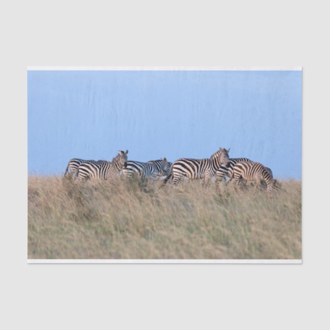 Zebras in der Dämmerung Seidenpapier (Vorderseite)