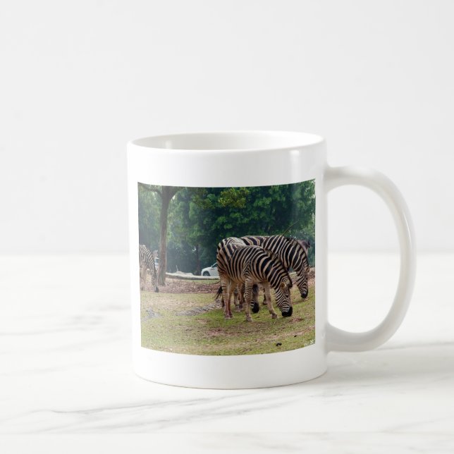 Zebras in einem Wildtierzoo Kaffeetasse (Rechts)