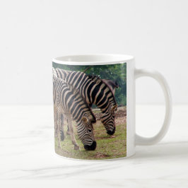 Zebras in einem Wildtierzoo Tasse