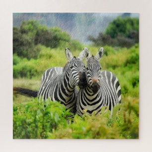 Zebras in freier Wildbahn Puzzle