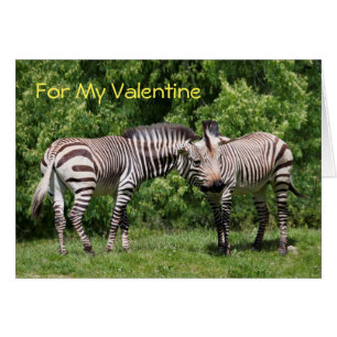Zebras in Liebe Valentinenkarte