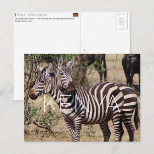 Zebras in Masai Mara, Kenia Reise-Postkarte Postkarte