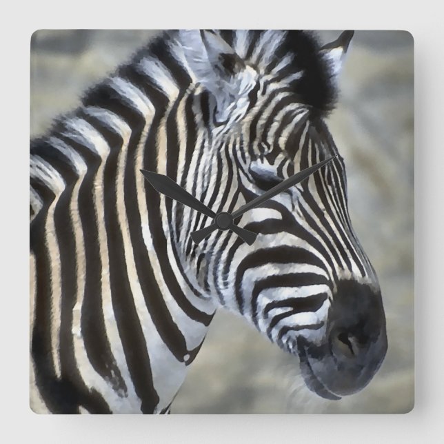 Zebras Kunst Quadratische Wanduhr (Vorderseite)
