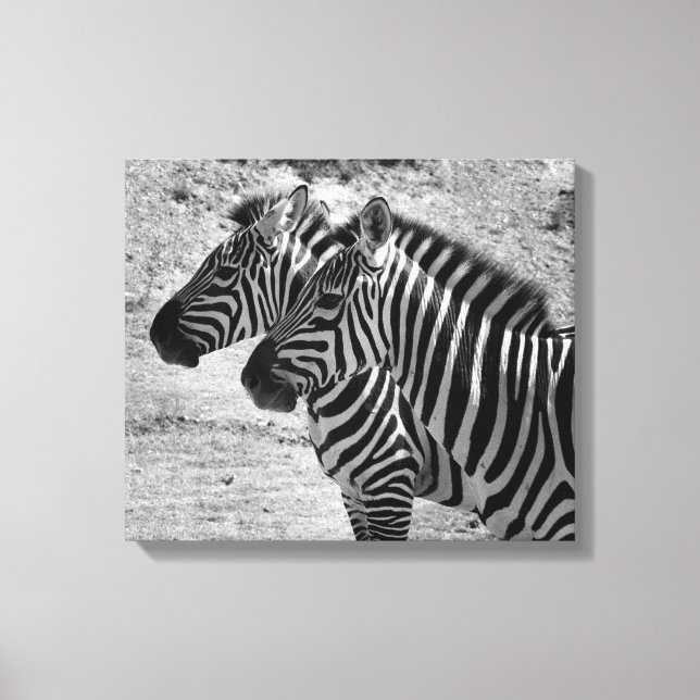 Zebras Leinwanddruck (Vorderseite)