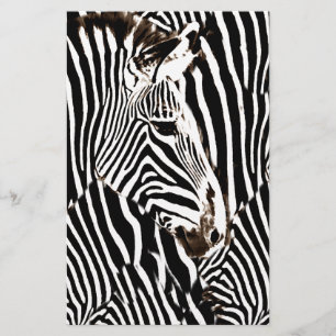 Zebras Liebe_