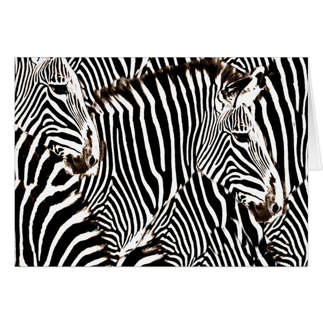 Zebras Liebe_ (Vorderseite (Horizontal))