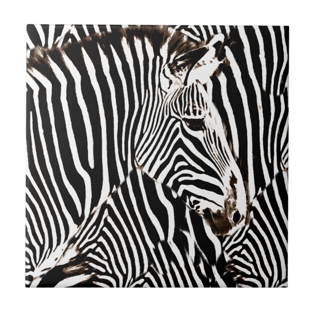 Zebras Liebe_ Fliese (Vorderseite)