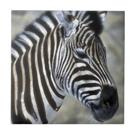 Zebras Lovers Art Fliese
