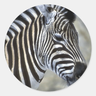 Zebras Lovers Art Runder Aufkleber