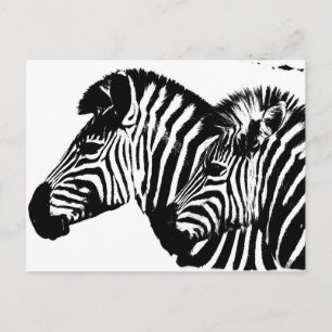 Zebras Moderne Schwarz-Weiß-Pop Kunstvorlage. Postkarte