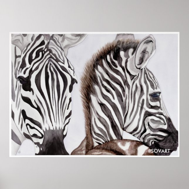 Zebras Mutter und Kind Poster (Vorne)