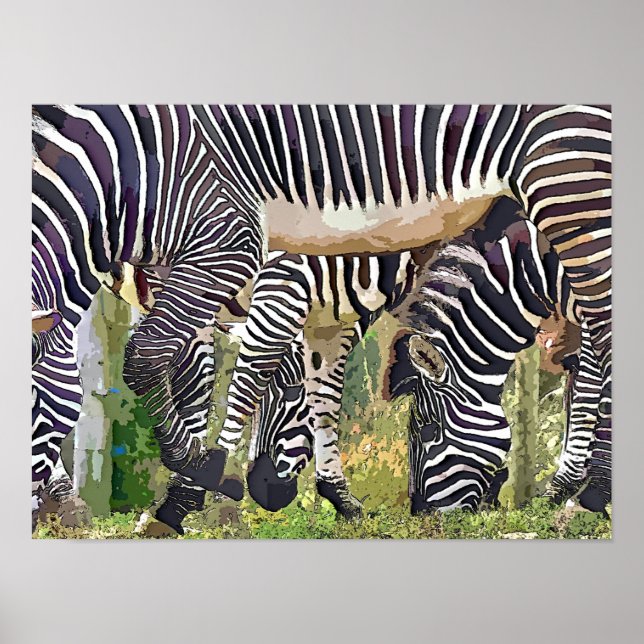 ZEBRAS POSTER (Vorne)