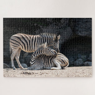 Zebras Puzzle