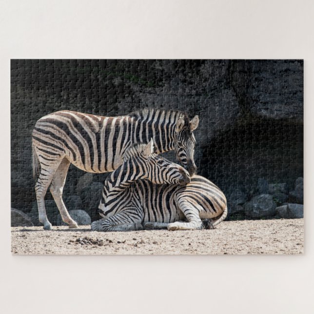 Zebras Puzzle (Horizontal)