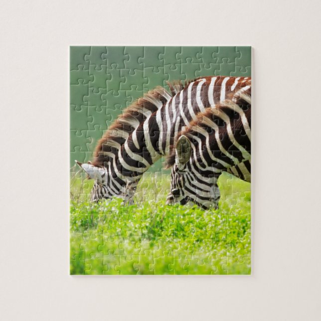 Zebras Puzzle (Vertikal)