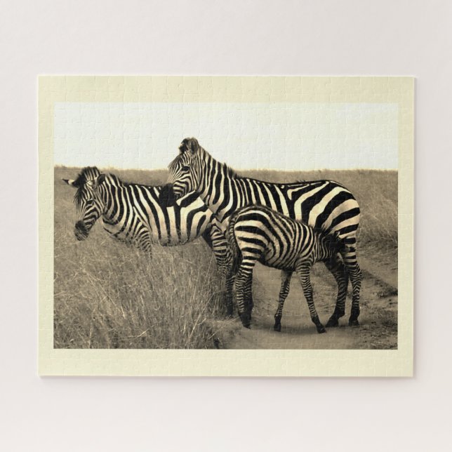 Zebras Puzzle (Horizontal)