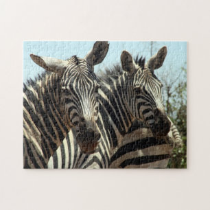 Zebras Puzzle