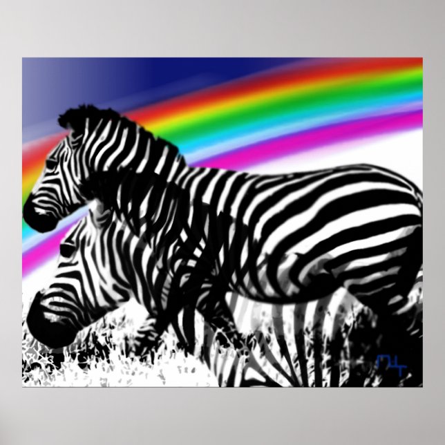 Zebras Traum von Regenbogenhaut Poster (Vorne)