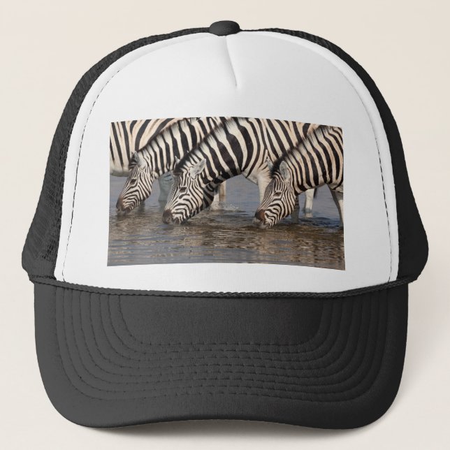 Zebras trinken truckerkappe (Vorderseite)
