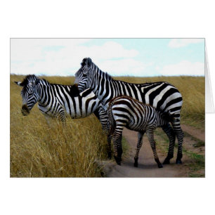 ZEBRAS UND BABY ZEBRA