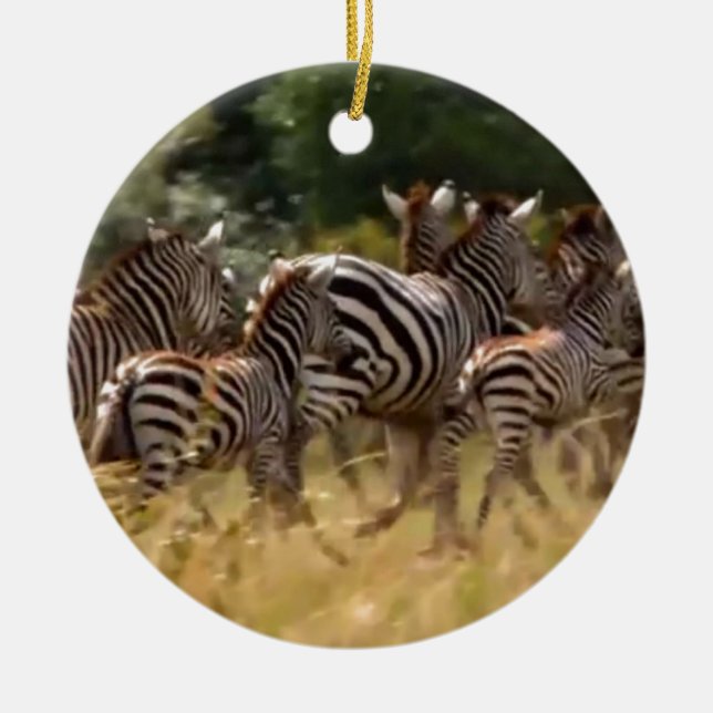 Zebras unterwegs: Eine Reise durch Tausende von Me Keramikornament (Vorne)