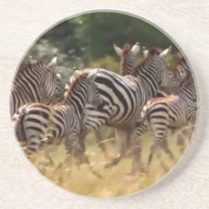 Zebras unterwegs: Eine Reise durch Tausende von Me Untersetzer