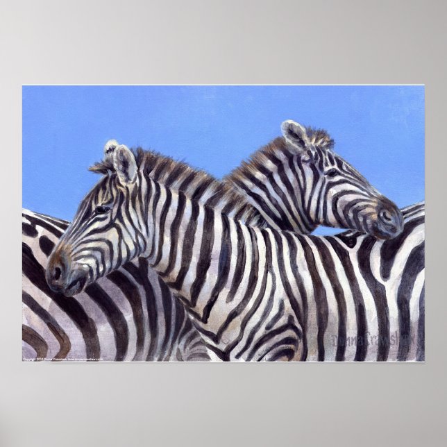 Zebras von Donna Crawshaw Poster (Vorne)