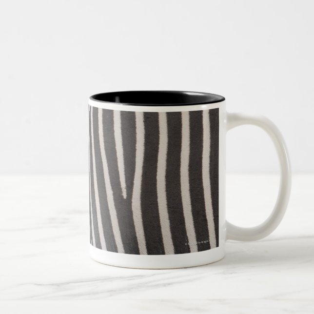 Zebras Zweifarbige Tasse (Rechts)