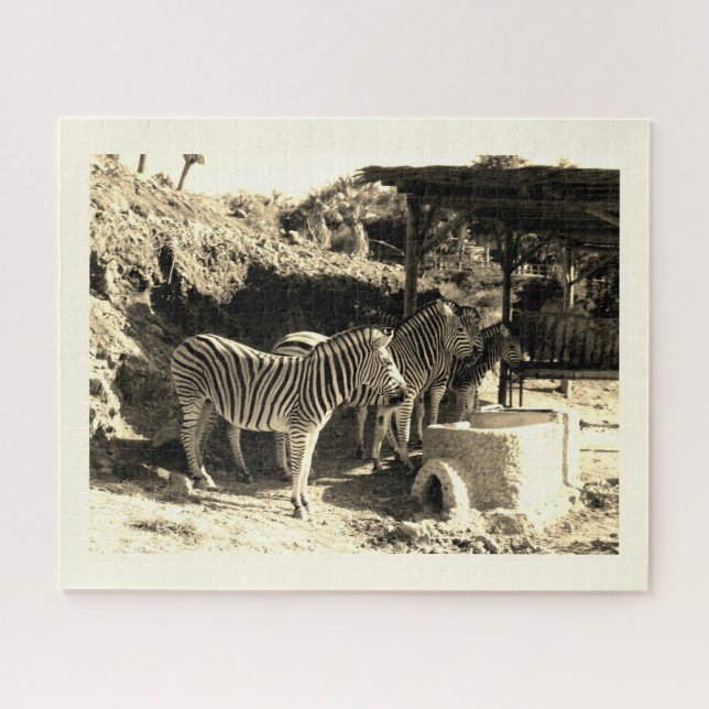 Zebrasgruppe Puzzle (Horizontal)