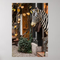Zebraskulptur in einem Geschäft, Deutschland