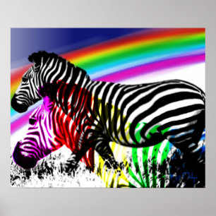 Zebras'Traum kommt wahr Poster